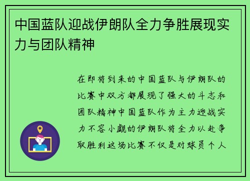 中国蓝队迎战伊朗队全力争胜展现实力与团队精神
