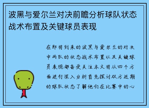 波黑与爱尔兰对决前瞻分析球队状态战术布置及关键球员表现