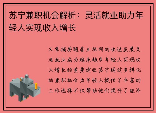 苏宁兼职机会解析：灵活就业助力年轻人实现收入增长
