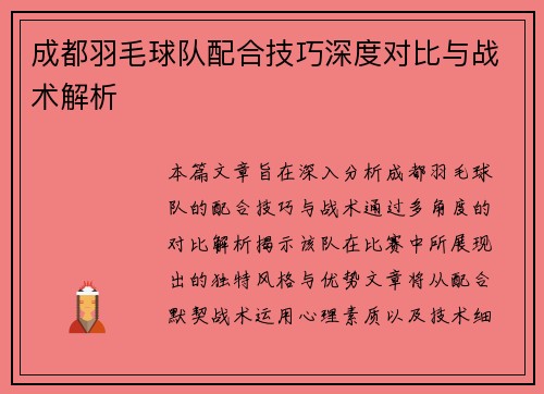 成都羽毛球队配合技巧深度对比与战术解析